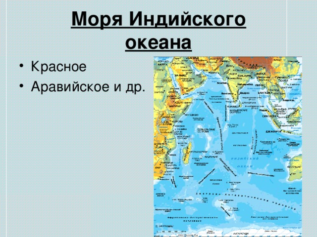 Моря Индийского  океана 