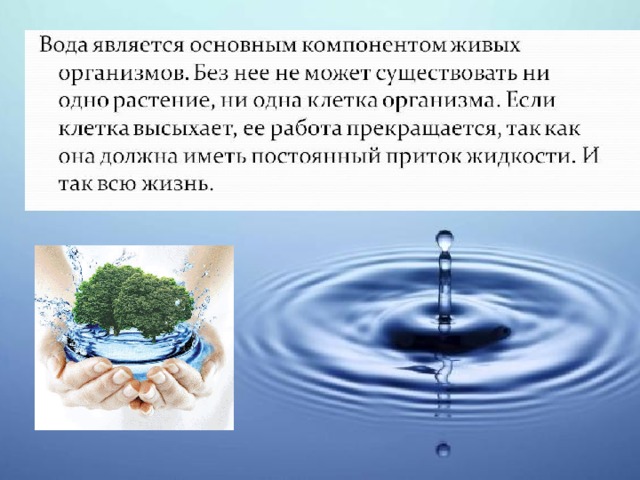 Экология воды проект