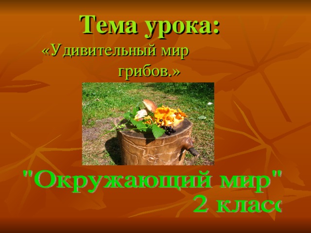 Тема урока: «Удивительный мир грибов.» 