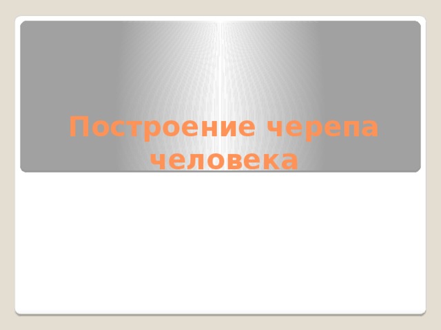 Построение черепа человека 