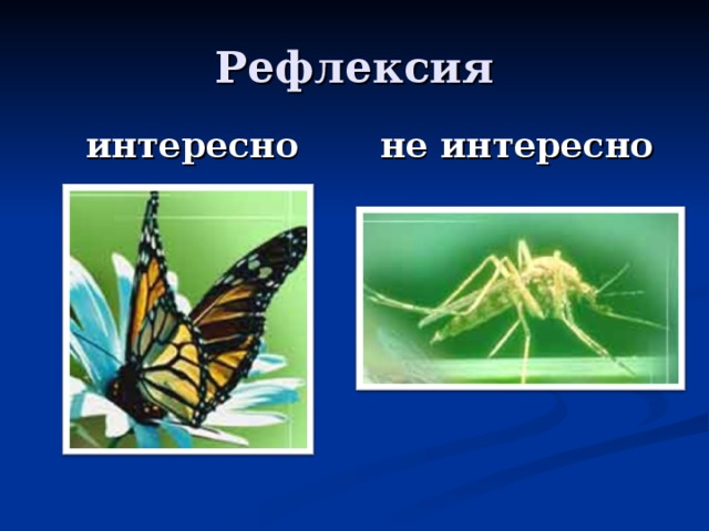 интересно не интересно 