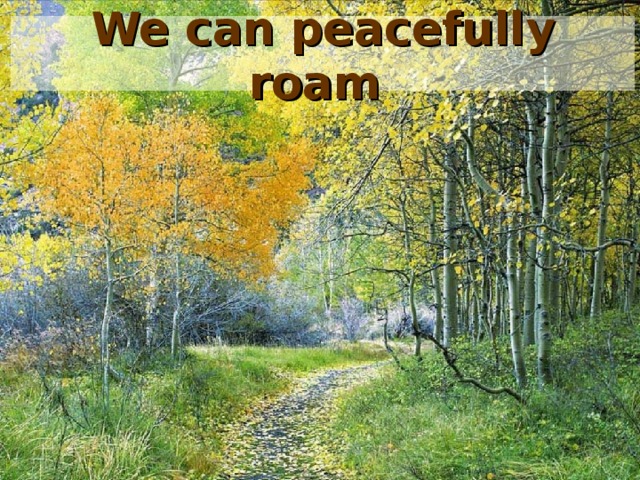 We can peacefully roam  