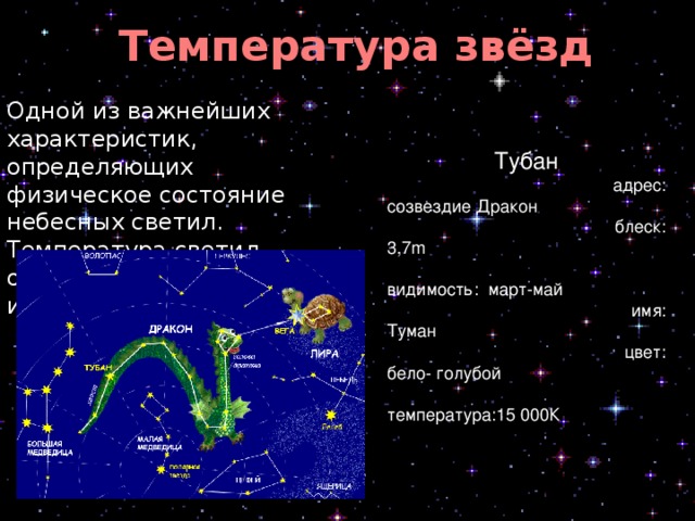 Созвездие дракон презентация