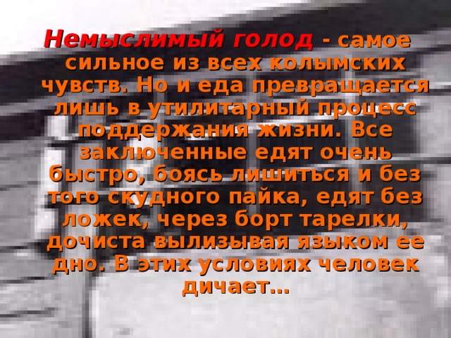 Немыслимый голод  - самое сильное из всех колымских чувств. Но и еда превращается лишь в утилитарный процесс поддержания жизни. Все заключенные едят очень быстро, боясь лишиться и без того скудного пайка, едят без ложек, через борт тарелки, дочиста вылизывая языком ее дно. В этих условиях человек дичает… 