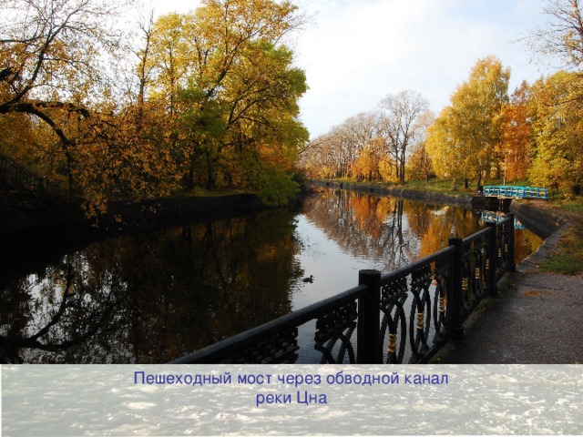 Fundamental Neuroscience - Chapter 26 - Language and speech Figure 26.2 Пешеходный мост через обводной канал реки Цна  