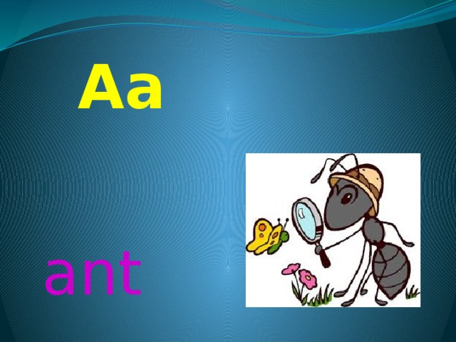 Aa ant 