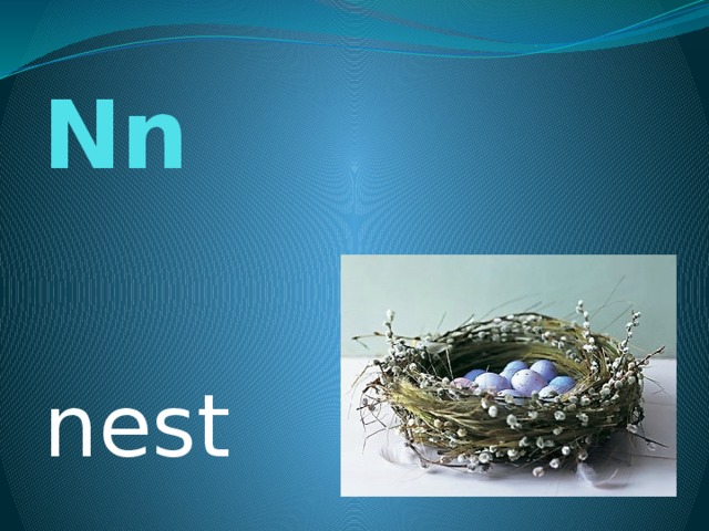 Nn nest 