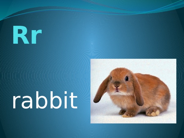 Rr rabbit 