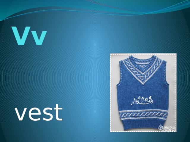 Vv vest 