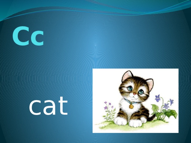 Cc cat 