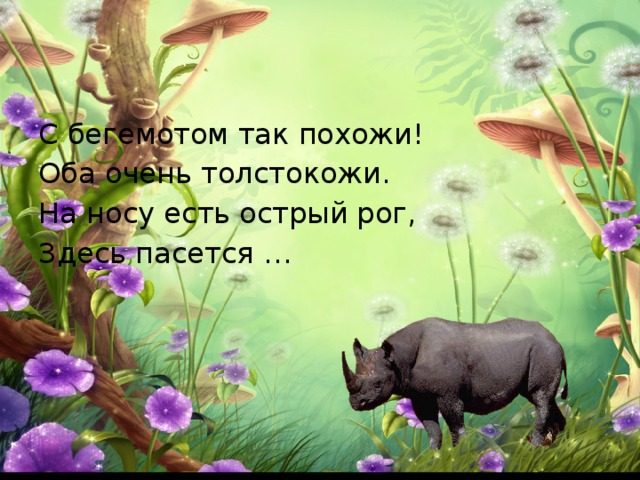 С бегемотом так похожи! Оба очень толстокожи. На носу есть острый рог, Здесь пасется … 