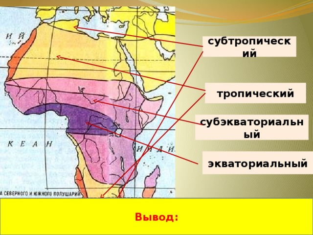 субтропический тропический субэкваториальный экваториальный Вывод: 