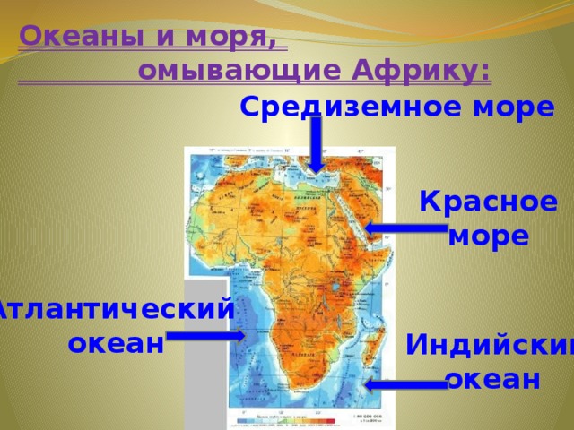 Океаны и моря, омывающие Африку: Средиземное море Красное море Атлантический океан Индийский океан 