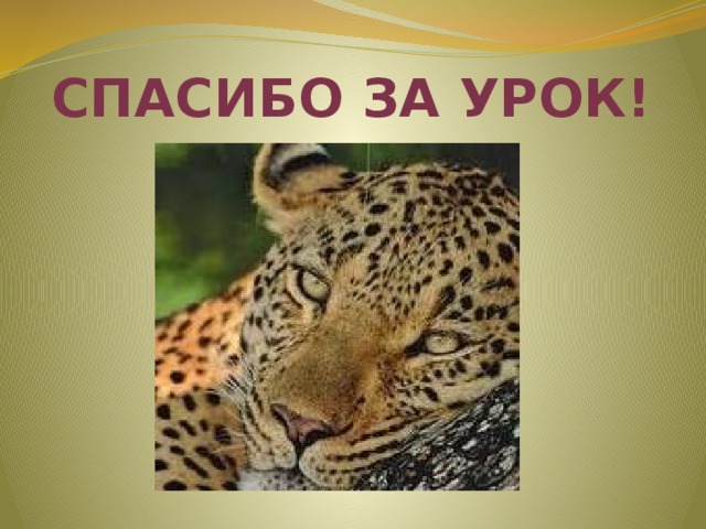 Спасибо за урок! 