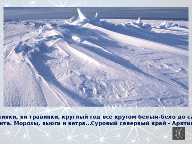Ни былинки, ни травинки, круглый год всё кругом белым-бело до самого горизонта. Морозы, вьюги и ветра…Суровый северный край - Арктика. 
