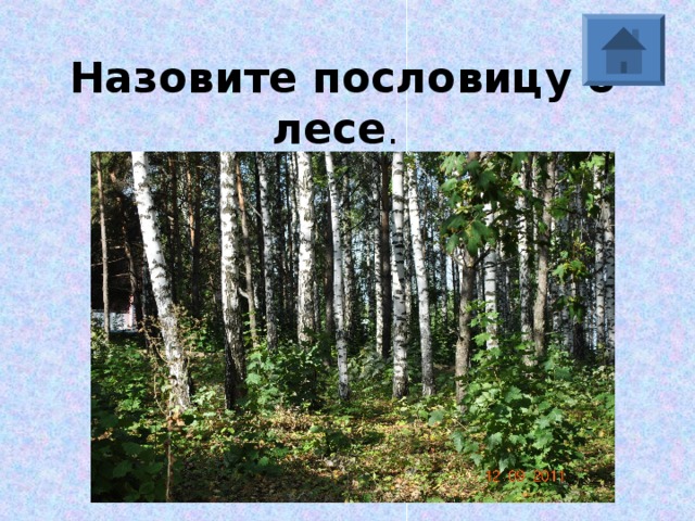 Назовите пословицу о лесе . 