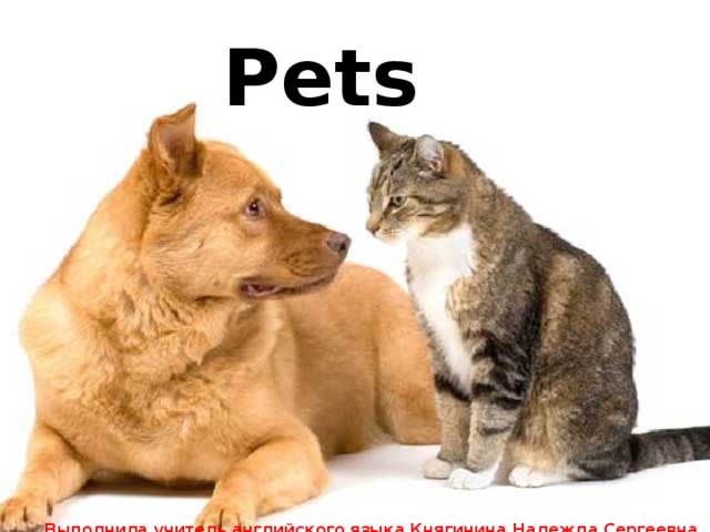 Pets     Выполнила учитель английского языка Княгинина Надежда Сергеевна МБУ СОШ №63 г.о.Тольятти для 6 клааса 