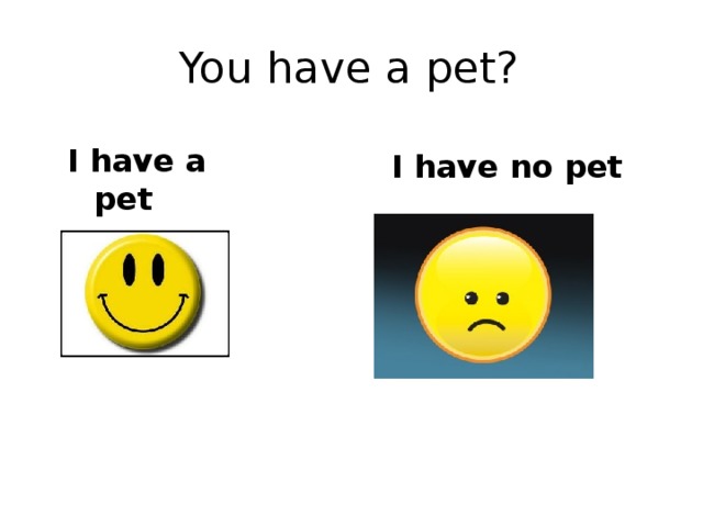 You have a pet? I have a pet I have no pet 