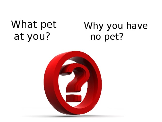 What pet at you? Why you have no pet? 