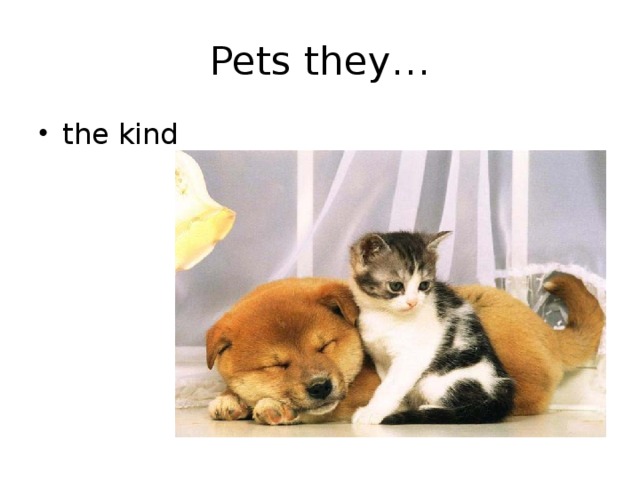 Pets they… the kind 