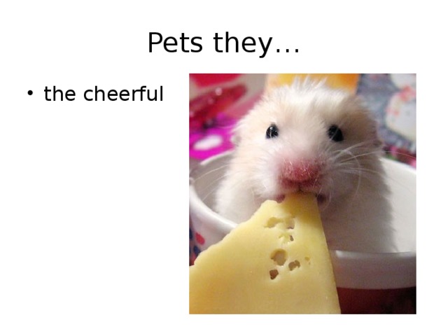 Pets they… the cheerful 