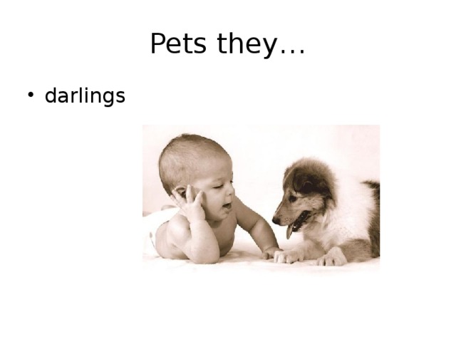 Pets they… darlings 