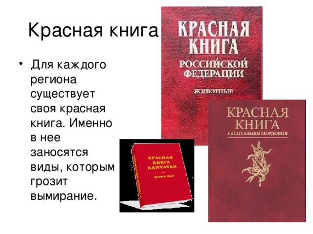 Красная книга Для каждого региона существует своя красная книга. Именно в нее заносятся виды, которым грозит вымирание. 