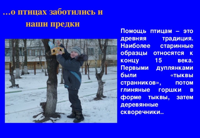 … о птицах заботились и наши предки Помощь птицам – это древняя традиция. Наиболее старинные образцы относятся к концу 15 века. Первыми дуплянками были «тыквы странников», потом глиняные горшки в форме тыквы, затем деревянные скворечники.. 