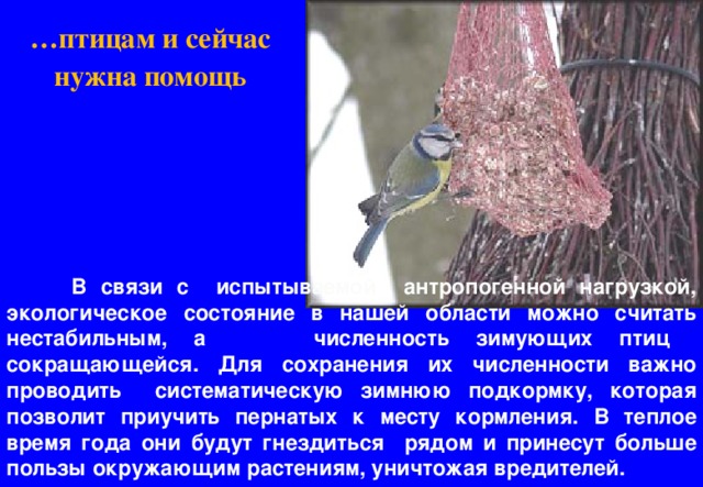 … птицам и сейчас нужна помощь  В связи с испытываемой антропогенной нагрузкой, экологическое состояние в нашей области можно считать нестабильным, а численность зимующих птиц сокращающейся. Для сохранения их численности важно проводить систематическую зимнюю подкормку, которая позволит приучить пернатых к месту кормления. В теплое время года они будут гнездиться рядом и принесут больше пользы окружающим растениям, уничтожая вредителей. 