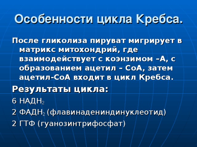 Особенности цикла Кребса. После гликолиза пируват мигрирует в матрикс митохондрий, где взаимодействует с коэнзимом –А, с образованием ацетил – СоА, затем ацетил-СоА входит в цикл Кребса. Результаты цикла: 6 НАДН 2 2 ФАДН 2 (флавинадениндинуклеотид) 2 ГТФ (гуанозинтрифосфат) 