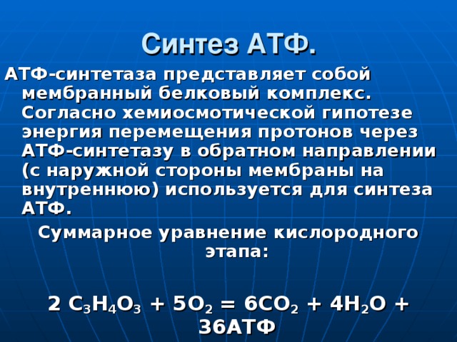 Синтез атф 2