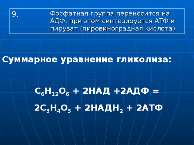 9. Фосфатная группа переносится на АДФ, при этом синтезируется АТФ и пируват (пировиноградная кислота). Суммарное уравнение гликолиза:  С 6 Н 12 О 6 + 2НАД +2АДФ =  2С 3 Н 4 О 3 + 2НАДН 2 + 2АТФ 
