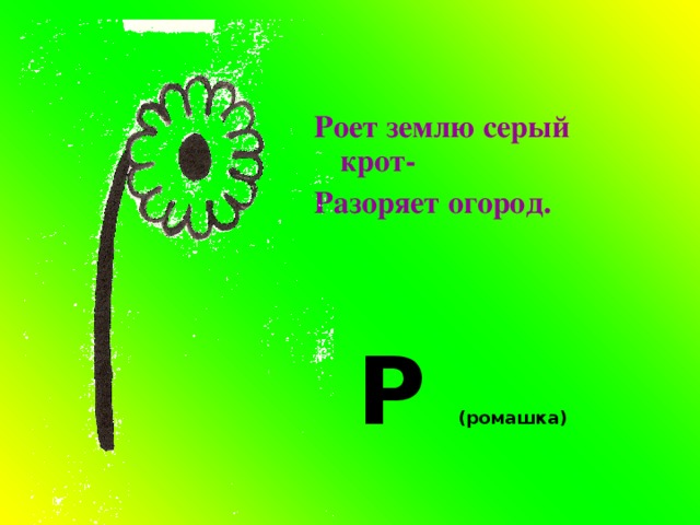 Роет землю серый крот- Разоряет огород. Р (ромашка) 