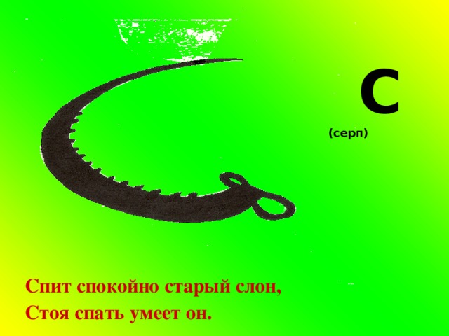  С (серп)  Спит спокойно старый слон, Стоя спать умеет он. 