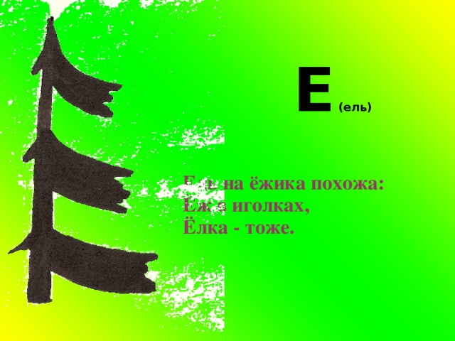 Е (ель) Ель на ёжика похожа: Ёж в иголках, Ёлка - тоже. 