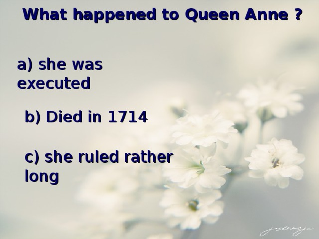 What happened to Queen Anne ? a) she was executed b) Died in 1714 c) she ruled rather long 
