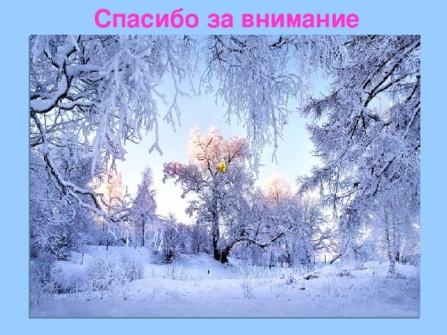  Спасибо за внимание  