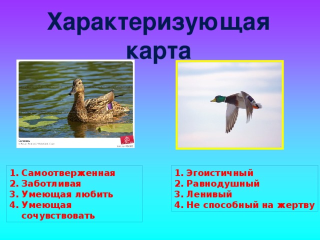 Характеризующая карта Самоотверженная Заботливая   Умеющая любить Умеющая сочувствовать Эгоистичный Равнодушный Ленивый Не способный на жертву 
