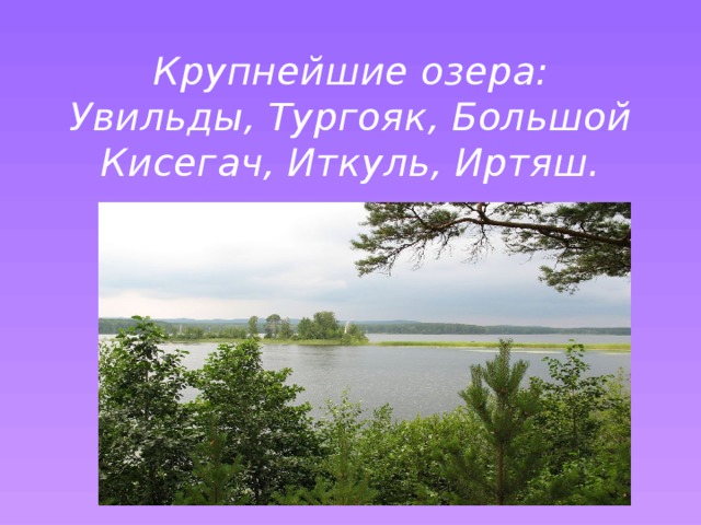 Водоемы нашего края проект