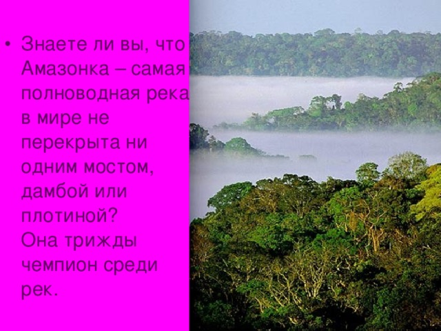 Знаете ли вы, что Амазонка – самая полноводная река в мире не перекрыта ни одним мостом, дамбой или плотиной?  Она трижды чемпион среди рек. 