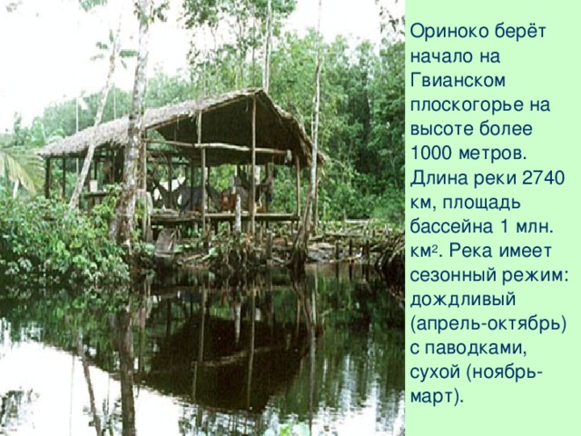  Ориноко берёт начало на Гвианском плоскогорье на высоте более 1000 метров. Длина реки 2740 км, площадь бассейна 1 млн. км 2 . Река имеет сезонный режим: дождливый (апрель-октябрь) с паводками, сухой (ноябрь-март). 