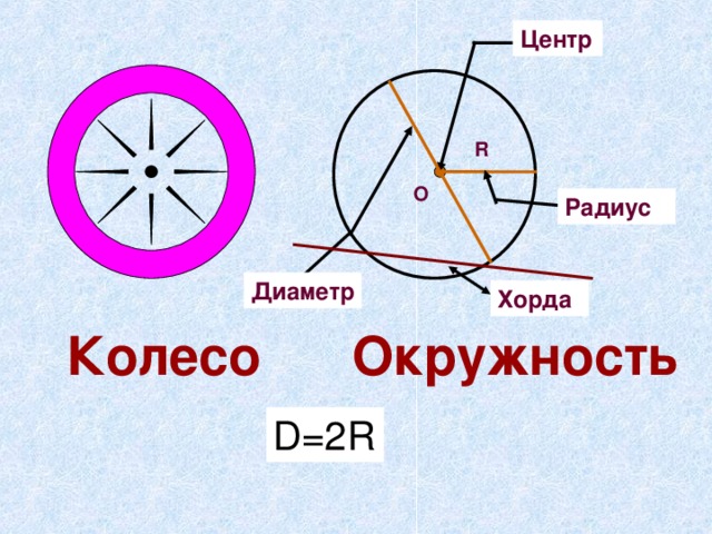 Окружность круг центр окружности радиус диаметр. Изобразить окружность центр радиус диаметр хорда