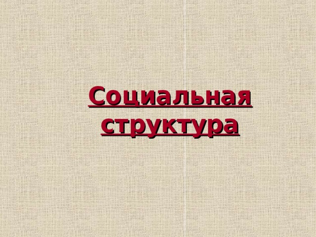 Социальная структура 