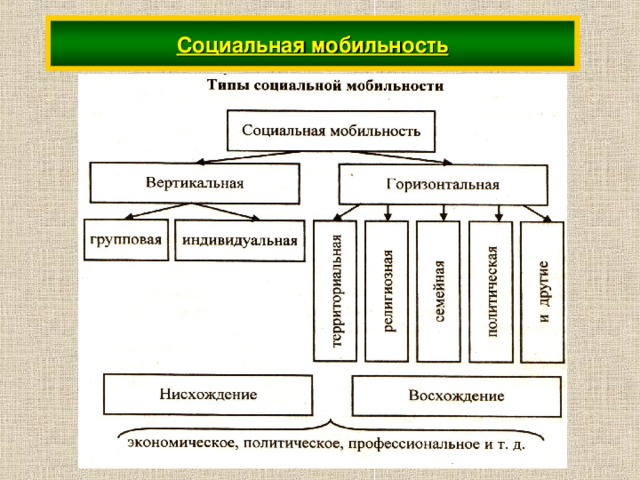 Социальная мобильность 