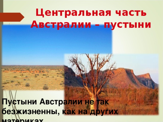 Центральная часть Австралии – пустыни Пустыни Австралии не так безжизненны, как на других материках 