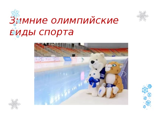Зимние олимпийские  виды спорта   