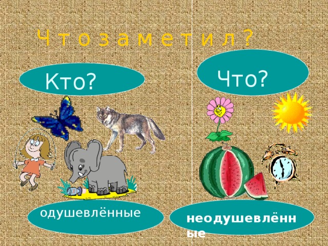 Ч т о з а м е т и л ? Что? Кто? одушевлённые неодушевлённые 