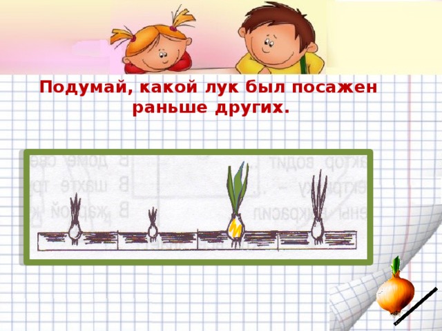 Подумал какое время. Подумай какой лук был посажен раньше других. Подумайте лук. Схема роста лука складная. Посади три луковицы так как показано на рисунке.