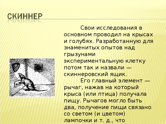   Свои исследования в основном проводил на крысах и голубях. Разработанную для знаменитых опытов над грызунами экспериментальную клетку потом так и назвали — скиннеровский ящик.  Его главный элемент — рычаг, нажав на который крыса (или птица) получала пищу. Рычагов могло быть два, получение пищи связано со светом (и цветом) лампочки и т. д., что позволяло варьировать ситуации и производить самые разнообразные опыты. 