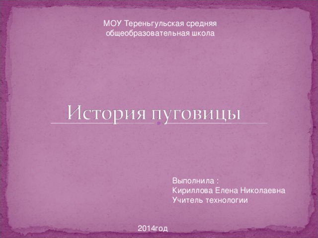 МОУ Тереньгульская средняя общеобразовательная школа Выполнила : Кириллова Елена Николаевна Учитель технологии 2014год 